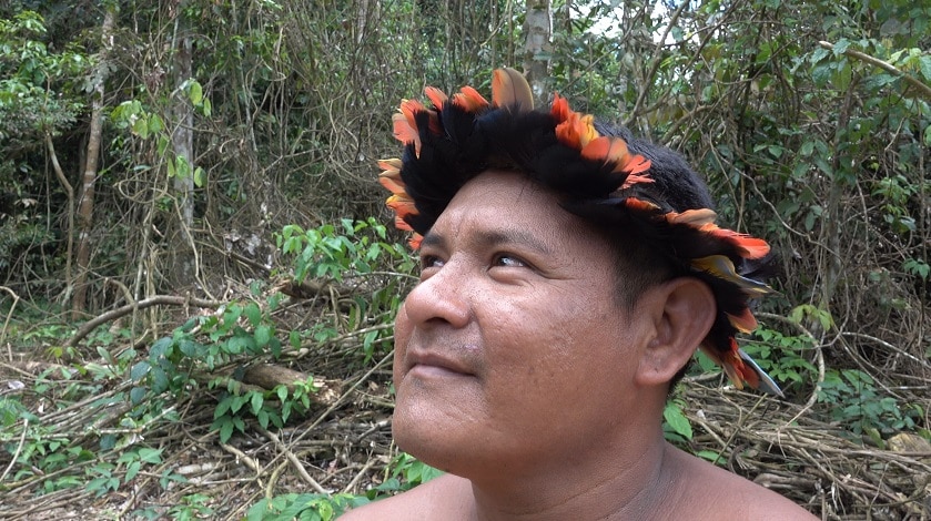 Représentant Arara confronté à la déforestation accélérée en Amazonie